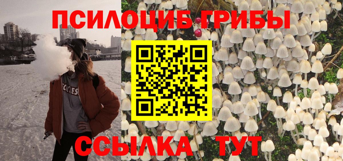 Псилоцибиновые грибы GOLDEN TEACHER Рубцовск