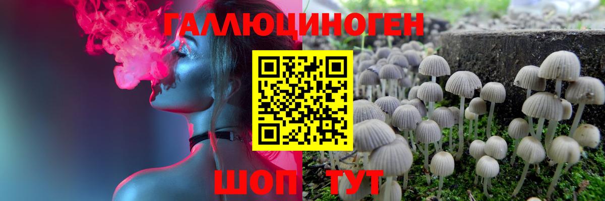 Псилоцибиновые грибы мицелий  Вход с VPN  Рубцовск 